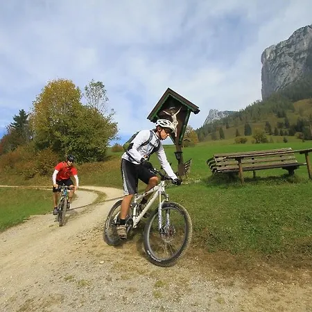 Appartamento Haus Loferer