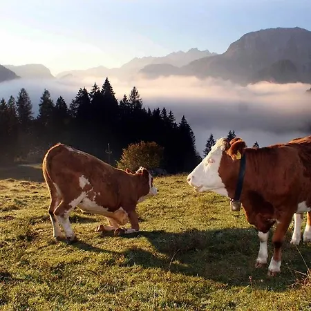 Appartamento Haus Loferer *