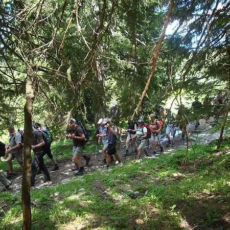 Haus Loferer * Sankt Martin bei Lofer