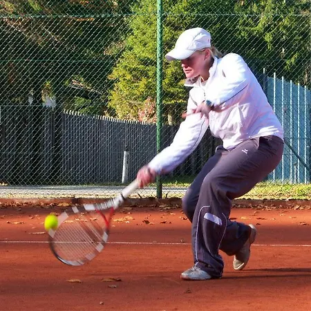 Haus Loferer Sankt Martin bei Lofer