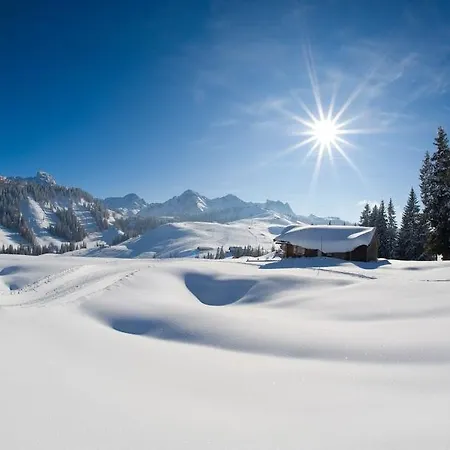 Apartmán Haus Loferer