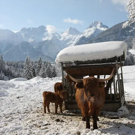 Haus Loferer Appartamento